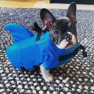 Dog life vest